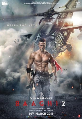 Baaghi 2 poster art