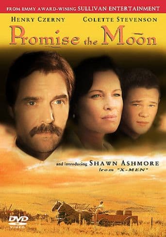 Promise the Moon poster art