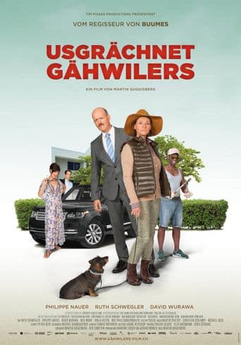 Meet The Gähwilers poster art