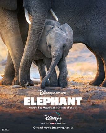 Elephant poster art