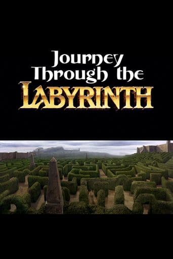 Journey Through the Labyrinth poster art