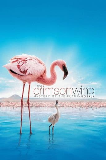 The Crimson Wing: Mystery of the Flamingos poster art