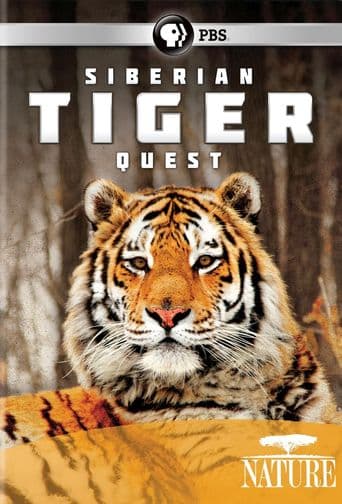 Siberian Tiger Quest poster art