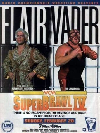 WCW SuperBrawl IV poster art