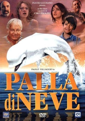 Palla di neve poster art