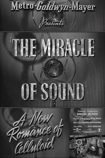 The Miracle of Sound poster art