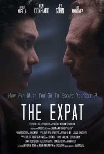 The Expat poster art