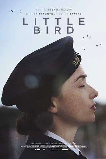 Little Bird poster art