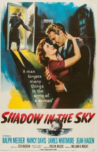 Shadow in the Sky poster art