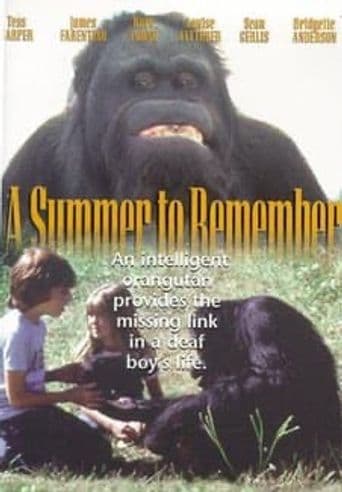 A Summer to Remember poster art