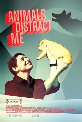 Animals Distract Me poster art