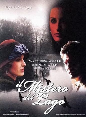 Il mistero del lago poster art