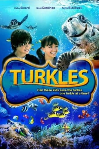 Turkles poster art