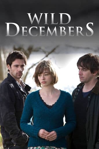 Wild Decembers poster art