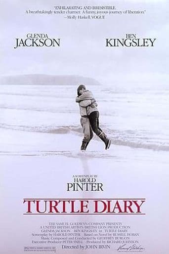 Turtle Diary poster art