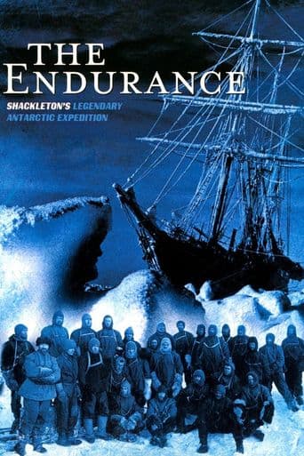 The Endurance poster art