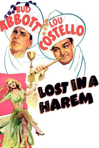 Lost in a Harem poster art