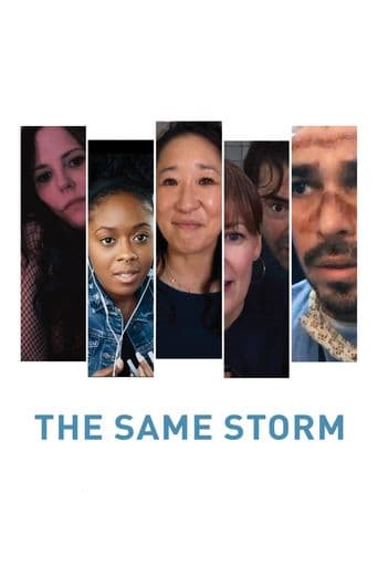 The Same Storm poster art