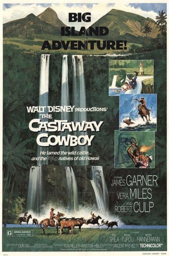 The Castaway Cowboy poster art