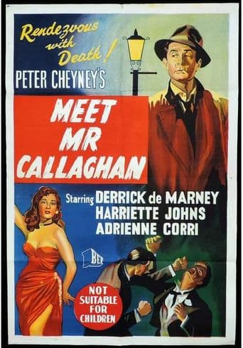 Meet Mr. Callaghan poster art