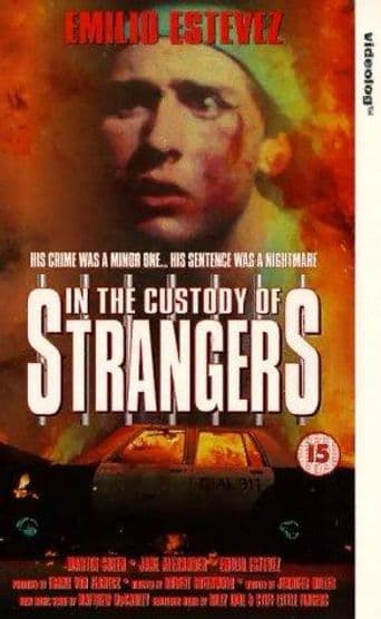 In the Custody of Strangers poster art