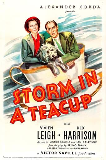 Storm in a Teacup poster art