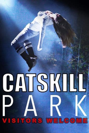 Catskill Park poster art