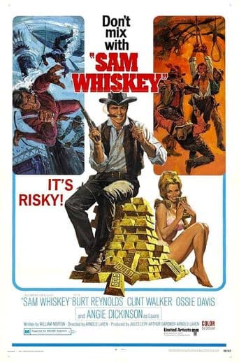 Sam Whiskey poster art