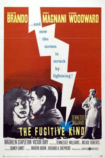 The Fugitive Kind poster art