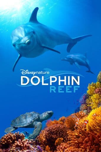Dolphin Reef poster art