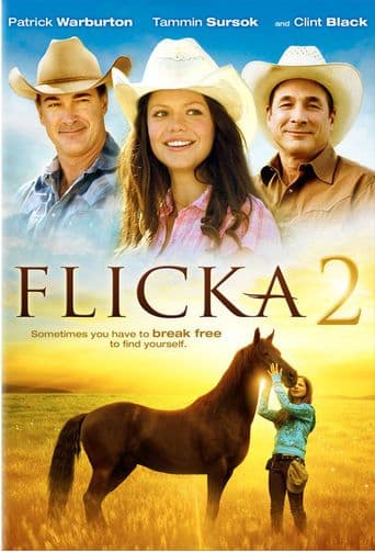 Flicka 2 poster art