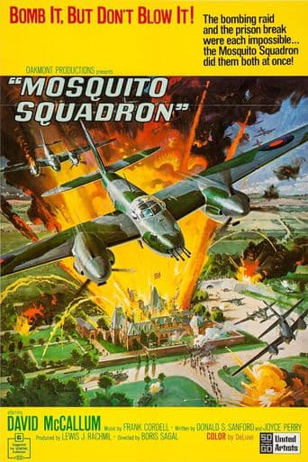 Mosquito Squadron poster art