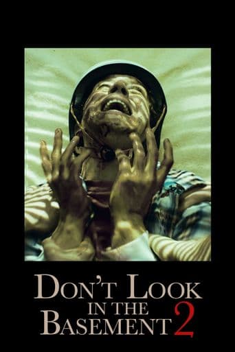 Don't Look in the Basement 2 poster art