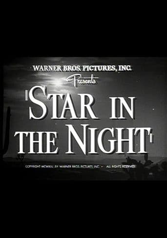 Star in the Night poster art