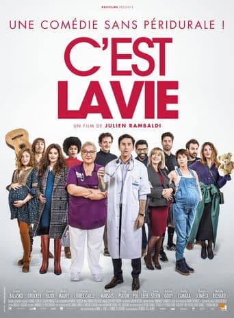 C'est la vie poster art