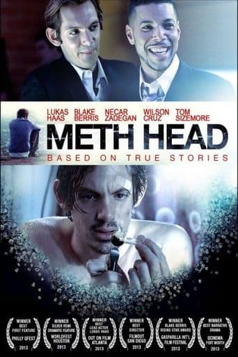 Meth Head poster art