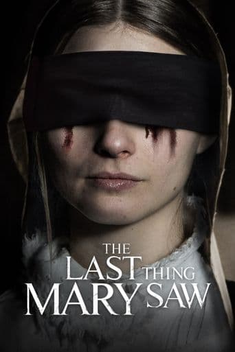 The Last Thing Mary Saw poster art