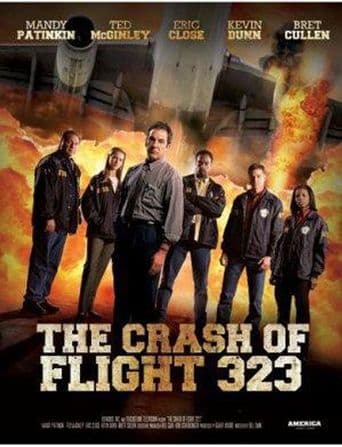 NTSB: The Crash of Flight 323 poster art