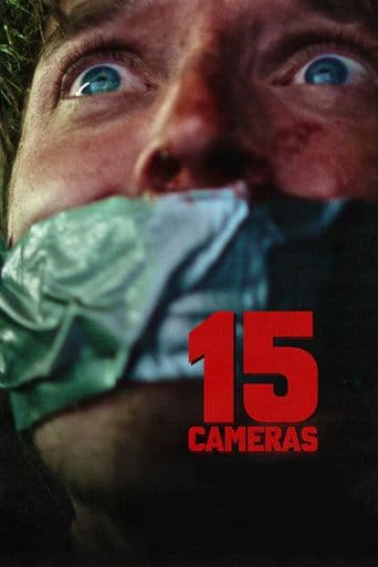 15 Cameras poster art