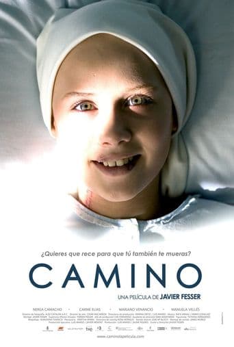 Camino poster art