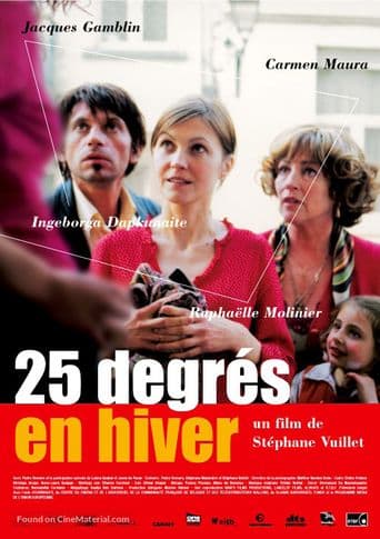 25 degrés en hiver poster art