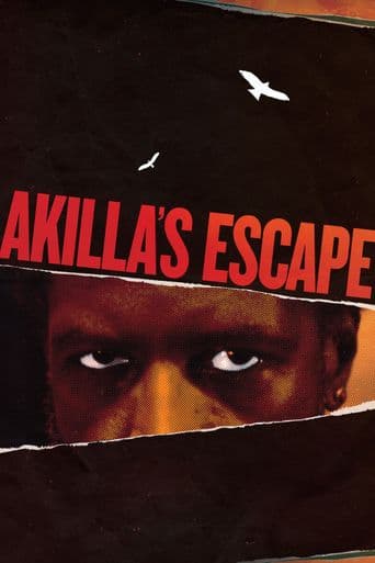 Akilla's Escape poster art