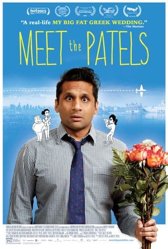 Meet the Patels poster art