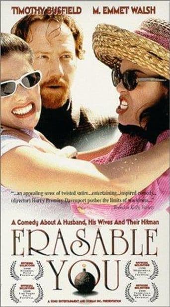 Erasable You poster art