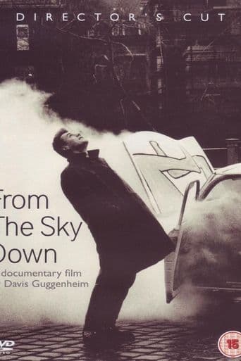 From the Sky Down poster art