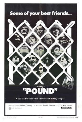 Pound poster art