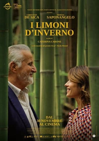 I limoni d'inverno poster art