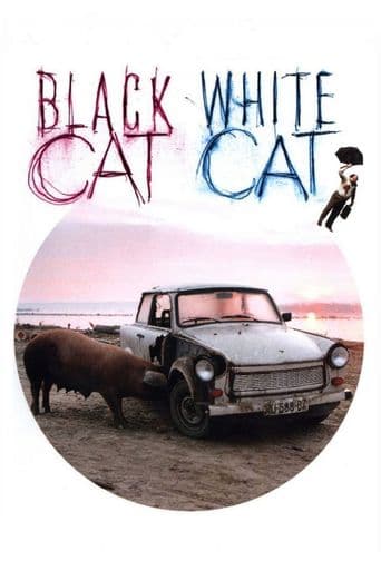 Black Cat, White Cat poster art