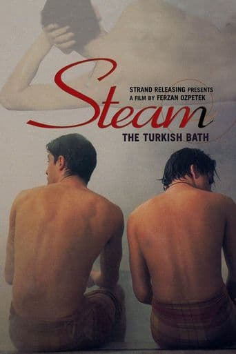 Steam: The Turkish Bath poster art