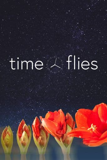 Time Flies poster art